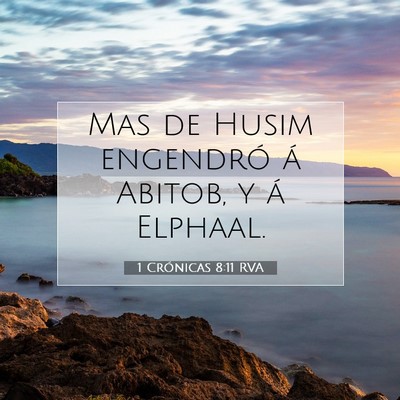 Picture 07 - 1 Crónicas 8:11 RVA - Mas de Husim engendró á Abitob, y á - Bible Verse Picture