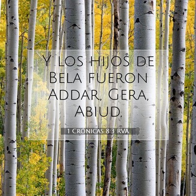 Picture 07 - 1 Crónicas 8:3 RVA - Y los hijos de Bela fueron Addar, Gera, - Bible Verse Picture