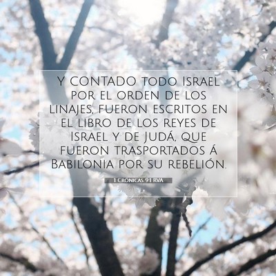 Picture 07 - 1 Crónicas 9:1 RVA - Y CONTADO todo Israel por el orden de los - Bible Verse Picture