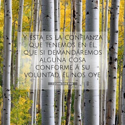 Picture 07 - 1 Juan 5:14 RVA - Y esta es la confianza que tenemos en él, que si - Bible Verse Picture