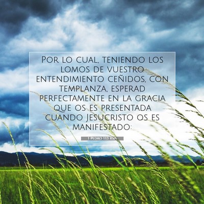 Picture 07 - 1 Pedro 1:13 RVA - Por lo cual, teniendo los lomos de vuestro - Bible Verse Picture