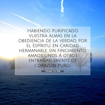 Picture 07 - 1 Pedro 1:22 RVA - Habiendo purificado vuestra almas en la - Bible Verse Picture