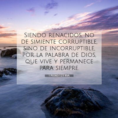 Picture 07 - 1 Pedro 1:23 RVA - Siendo renacidos, no de simiente corruptible, - Bible Verse Picture