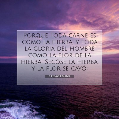Picture 07 - 1 Pedro 1:24 RVA - Porque Toda carne es como la hierba, Y toda la - Bible Verse Picture
