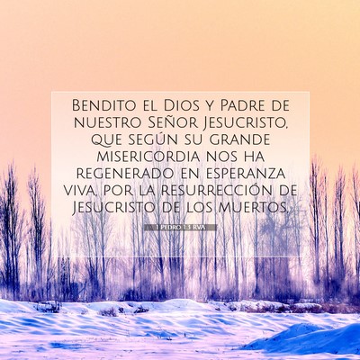 Picture 07 - 1 Pedro 1:3 RVA - Bendito el Dios y Padre de nuestro Señor - Bible Verse Picture
