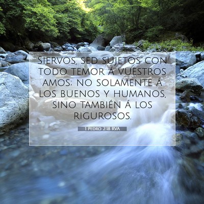 Picture 07 - 1 Pedro 2:18 RVA - Siervos, sed sujetos con todo temor á vuestros - Bible Verse Picture