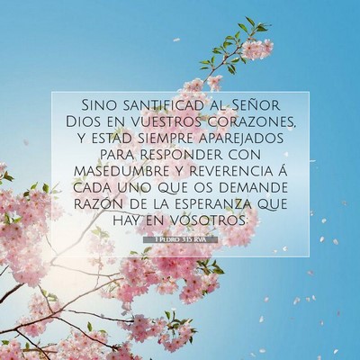 Picture 07 - 1 Pedro 3:15 RVA - Sino santificad al Señor Dios en vuestros - Bible Verse Picture