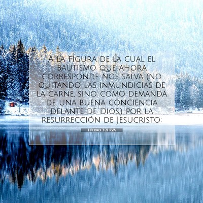 Picture 07 - 1 Pedro 3:21 RVA - A la figura de la cual el bautismo que ahora - Bible Verse Picture