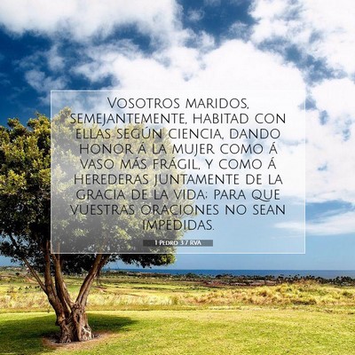 Picture 07 - 1 Pedro 3:7 RVA - Vosotros maridos, semejantemente, habitad con - Bible Verse Picture