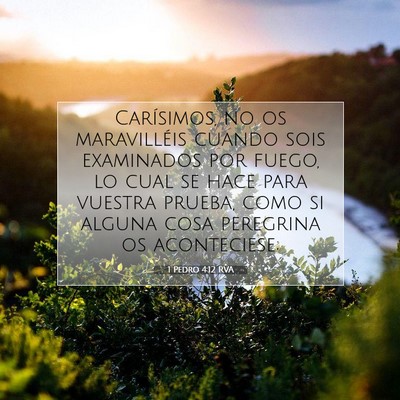 Picture 07 - 1 Pedro 4:12 RVA - Carísimos, no os maravilléis cuando sois - Bible Verse Picture