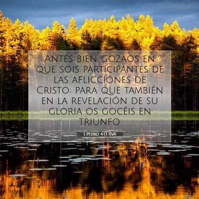 Picture 07 - 1 Pedro 4:13 RVA - Antes bien gozaos en que sois participantes de - Bible Verse Picture
