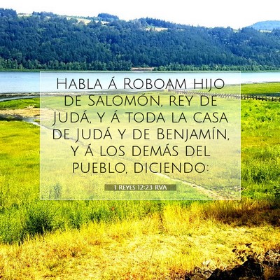 Picture 07 - 1 Reyes 12:23 RVA - Habla á Roboam hijo de Salomón, rey de Judá, y - Bible Verse Picture