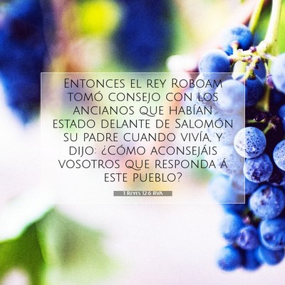 Picture 07 - 1 Reyes 12:6 RVA - Entonces el rey Roboam tomó consejo con los - Bible Verse Picture