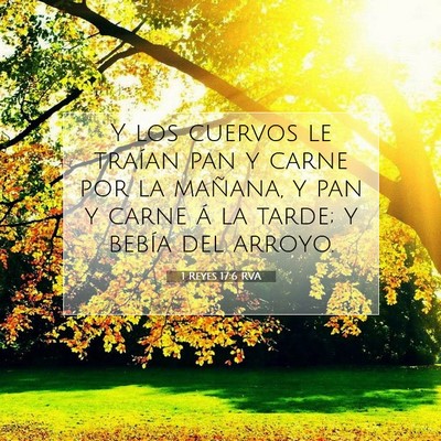 Picture 07 - 1 Reyes 17:6 RVA - Y los cuervos le traían pan y carne por la - Bible Verse Picture