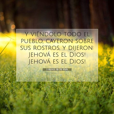 Picture 07 - 1 Reyes 18:39 RVA - Y viéndolo todo el pueblo, cayeron sobre sus - Bible Verse Picture