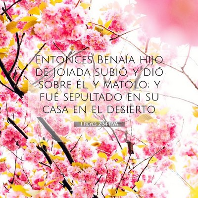 Picture 07 - 1 Reyes 2:34 RVA - Entonces Benaía hijo de Joiada subió, y dió - Bible Verse Picture