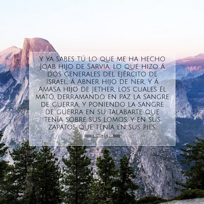 Picture 07 - 1 Reyes 2:5 RVA - Y ya sabes tú lo que me ha hecho Joab hijo de - Bible Verse Picture