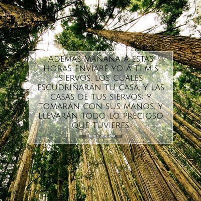 Picture 07 - 1 Reyes 20:6 RVA - Además mañana á estas horas enviaré yo á ti - Bible Verse Picture