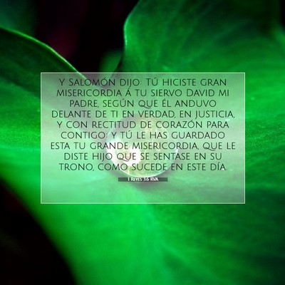 Picture 07 - 1 Reyes 3:6 RVA - Y Salomón dijo: Tú hiciste gran misericordia á - Bible Verse Picture