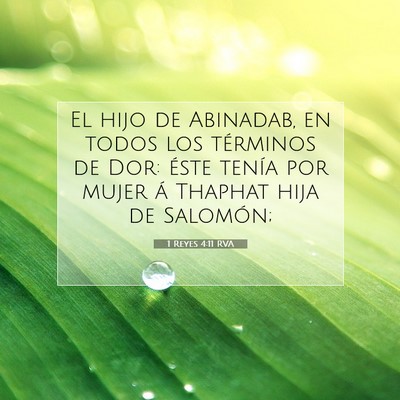 Picture 07 - 1 Reyes 4:11 RVA - El hijo de Abinadab, en todos los términos de - Bible Verse Picture