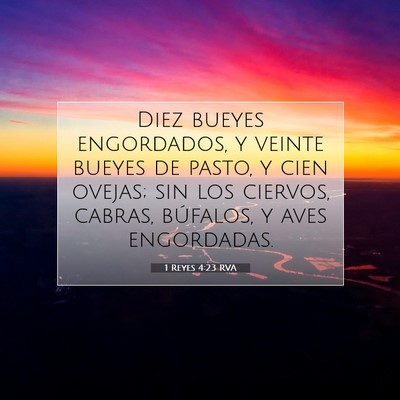 Picture 07 - 1 Reyes 4:23 RVA - Diez bueyes engordados, y veinte bueyes de pasto, - Bible Verse Picture