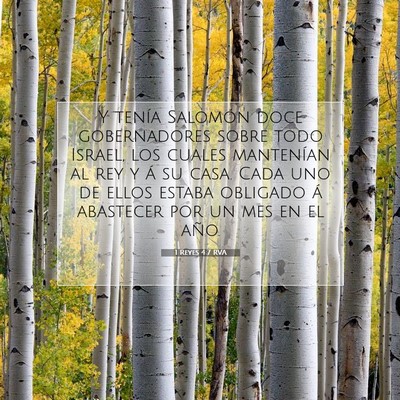 Picture 07 - 1 Reyes 4:7 RVA - Y tenía Salomón doce gobernadores sobre todo - Bible Verse Picture