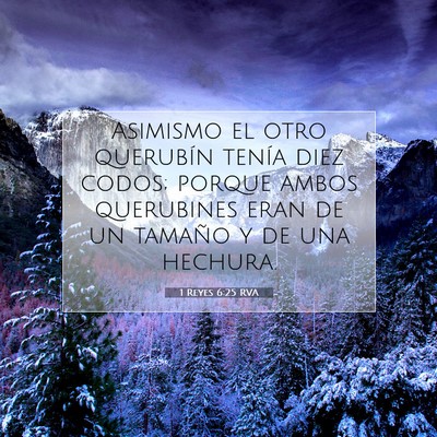 Picture 07 - 1 Reyes 6:25 RVA - Asimismo el otro querubín tenía diez codos; - Bible Verse Picture