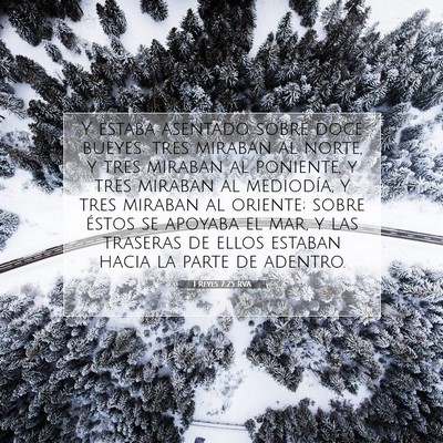 Picture 07 - 1 Reyes 7:25 RVA - Y estaba asentado sobre doce bueyes: tres miraban - Bible Verse Picture
