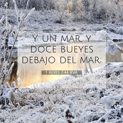 Picture 07 - 1 Reyes 7:44 RVA - Y un mar, y doce bueyes debajo del - Bible Verse Picture