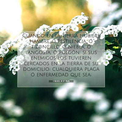 Picture 07 - 1 Reyes 8:37 RVA - Cuando en la tierra hubiere hambre, ó - Bible Verse Picture