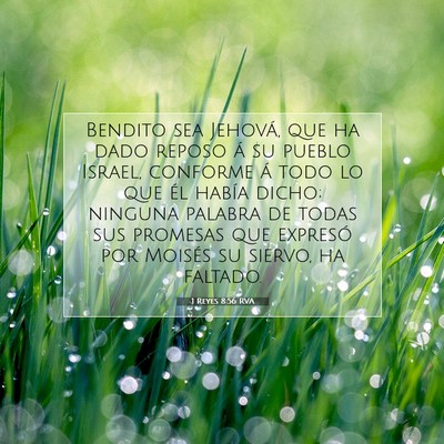 Picture 07 - 1 Reyes 8:56 RVA - Bendito sea Jehová, que ha dado reposo á su - Bible Verse Picture
