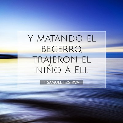 Picture 07 - 1 Samuel 1:25 RVA - Y matando el becerro, trajeron el niño á - Bible Verse Picture