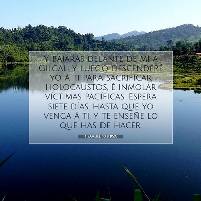 Picture 07 - 1 Samuel 10:8 RVA - Y bajarás delante de mí á Gilgal; y luego - Bible Verse Picture