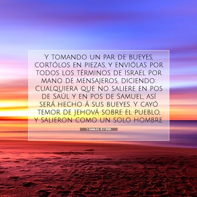 Picture 07 - 1 Samuel 11:7 RVA - Y tomando un par de bueyes, cortólos en piezas, - Bible Verse Picture