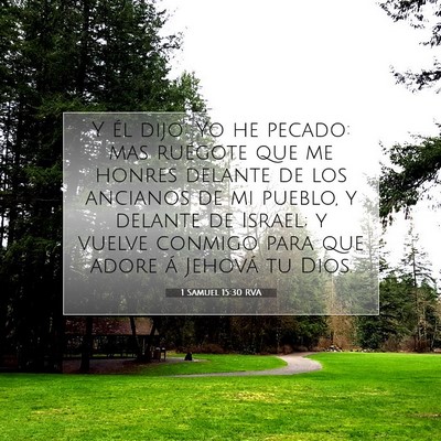 Picture 07 - 1 Samuel 15:30 RVA - Y él dijo: Yo he pecado: mas ruégote que me - Bible Verse Picture