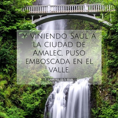 Picture 07 - 1 Samuel 15:5 RVA - Y viniendo Saúl á la ciudad de Amalec, puso - Bible Verse Picture