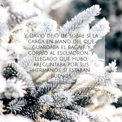 Picture 07 - 1 Samuel 17:22 RVA - Y David dejó de sobre sí la carga en mano del - Bible Verse Picture