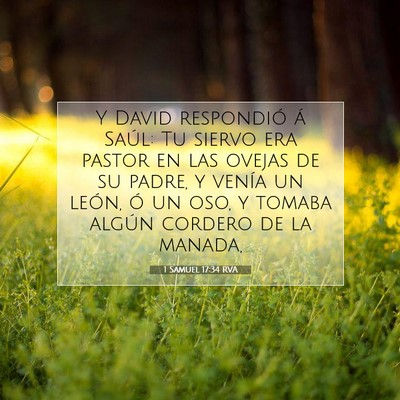 Picture 07 - 1 Samuel 17:34 RVA - Y David respondió á Saúl: Tu siervo era pastor - Bible Verse Picture
