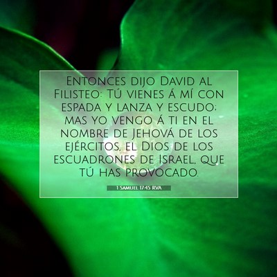 Picture 07 - 1 Samuel 17:45 RVA - Entonces dijo David al Filisteo: Tú vienes á - Bible Verse Picture