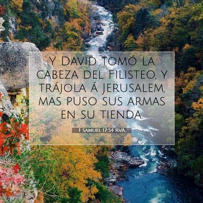 Picture 07 - 1 Samuel 17:54 RVA - Y David tomó la cabeza del Filisteo, y trájola - Bible Verse Picture