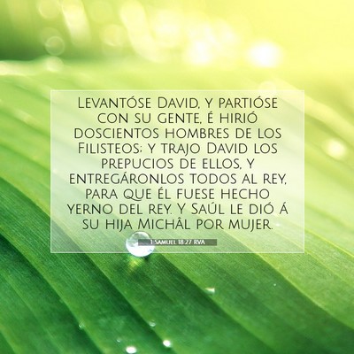 Picture 07 - 1 Samuel 18:27 RVA - Levantóse David, y partióse con su gente, é - Bible Verse Picture