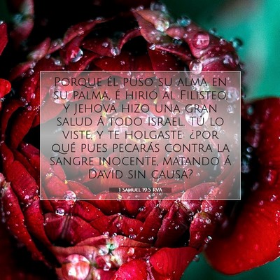 Picture 07 - 1 Samuel 19:5 RVA - Porque él puso su alma en su palma, é hirió al - Bible Verse Picture
