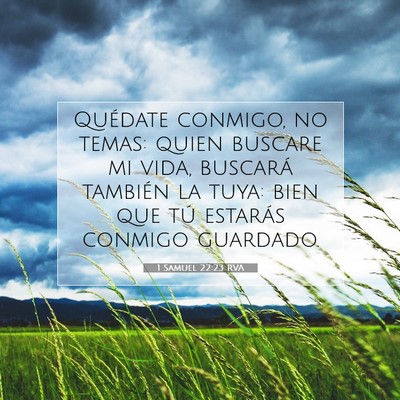 Picture 07 - 1 Samuel 22:23 RVA - Quédate conmigo, no temas: quien buscare mi - Bible Verse Picture