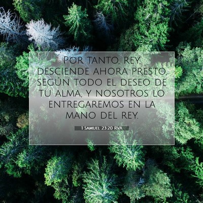 Picture 07 - 1 Samuel 23:20 RVA - Por tanto, rey, desciende ahora presto, según - Bible Verse Picture