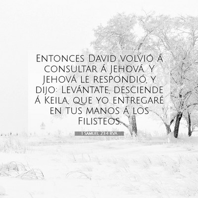 Picture 07 - 1 Samuel 23:4 RVA - Entonces David volvió á consultar á Jehová. Y - Bible Verse Picture