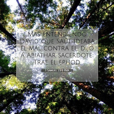 Picture 07 - 1 Samuel 23:9 RVA - Mas entendiendo David que Saúl ideaba el mal - Bible Verse Picture