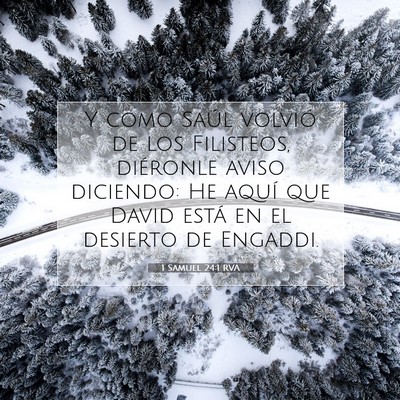 Picture 07 - 1 Samuel 24:1 RVA - Y como Saúl volvió de los Filisteos, diéronle - Bible Verse Picture