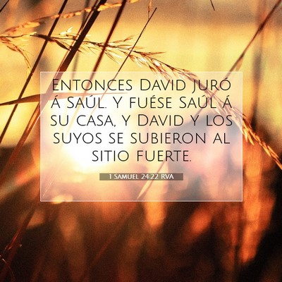 Picture 07 - 1 Samuel 24:22 RVA - Entonces David juró á Saúl. Y fuése Saúl á - Bible Verse Picture