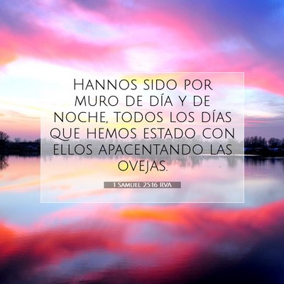 Picture 07 - 1 Samuel 25:16 RVA - Hannos sido por muro de día y de noche, todos - Bible Verse Picture