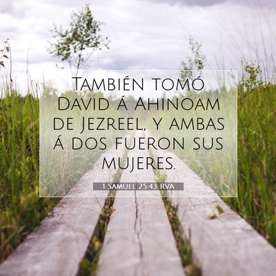Picture 07 - 1 Samuel 25:43 RVA - También tomó David á Ahinoam de Jezreel, y - Bible Verse Picture